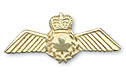 Canadian Air Force Pendent, Pin && Ring