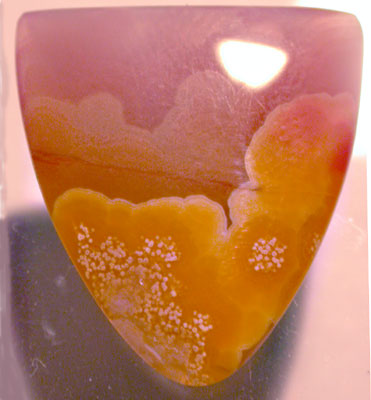 Laguna Agate Tongue Cut