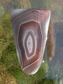 Botswana Agate Arch-Cut