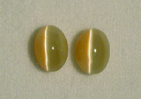 Cat'seye Opal Pair