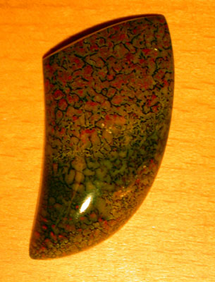 Dinosaur Bone Freeform