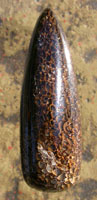 Dinosaur Bone Designer Cabochon