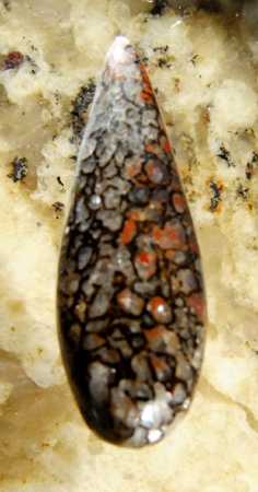 Dinosaur Bone Designer Cabochon