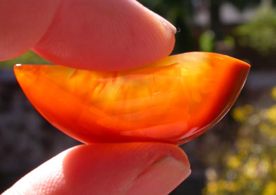 Carnelian Designer Cabochon