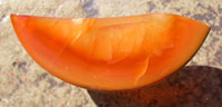 Carnelian Designer Cabochon