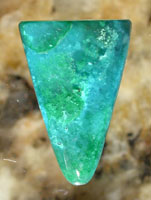 Gem Silica Tongue