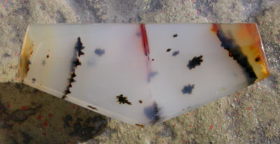 Montana Agate Designr Cab