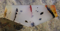Montana Agate Designr Cab