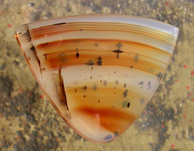 Montana Agate Designer Cabochon