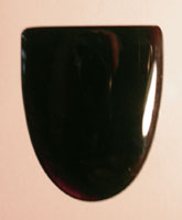 Black Petrified Wood Designer Cab