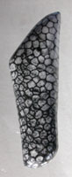 Stingray Coral Designer Cabochon