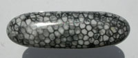 Stingray Coral Oval