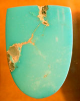 Turquoise Tongue Cut