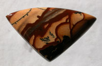 Biggs Jasper Designer Cabochon
