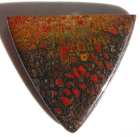 Dinosaur Bone Collector's Cab