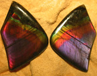 Spectrolite Buttterfly Wings